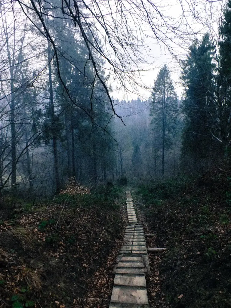 Карпати