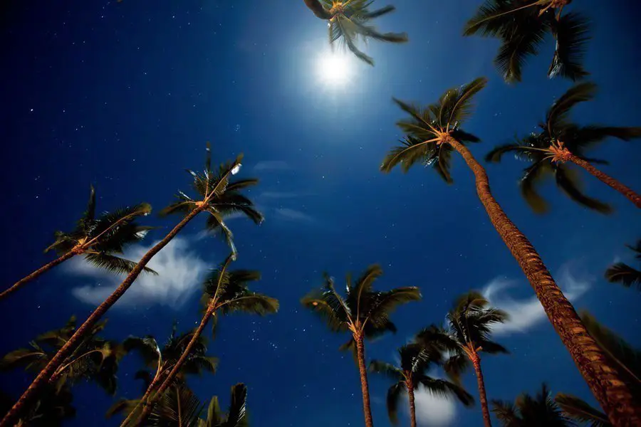 Moon and stars in the night sky, Hawaii, USA