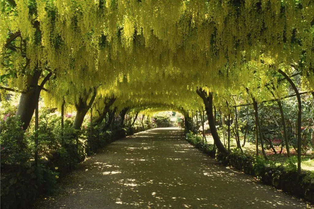 Arch in Bodnant Garden, United Kingdom