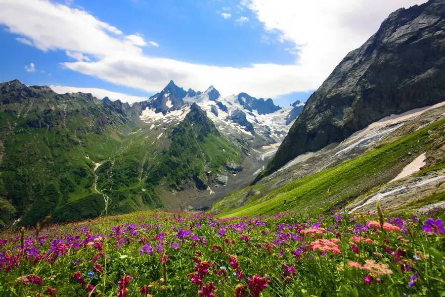 Caucasus