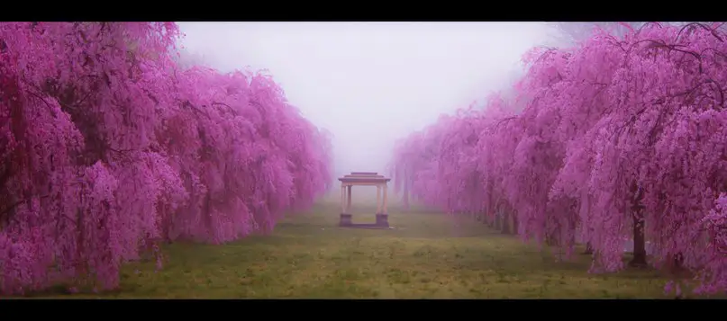 A place for meditation. One of the schools of Zen Buddhism, Japan