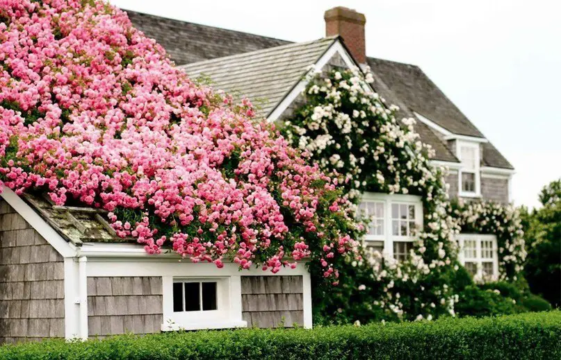 House on Nantucket Island, USA
