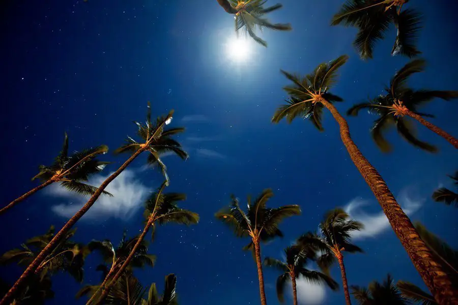 Moon and stars in the night sky, Hawaii, USA