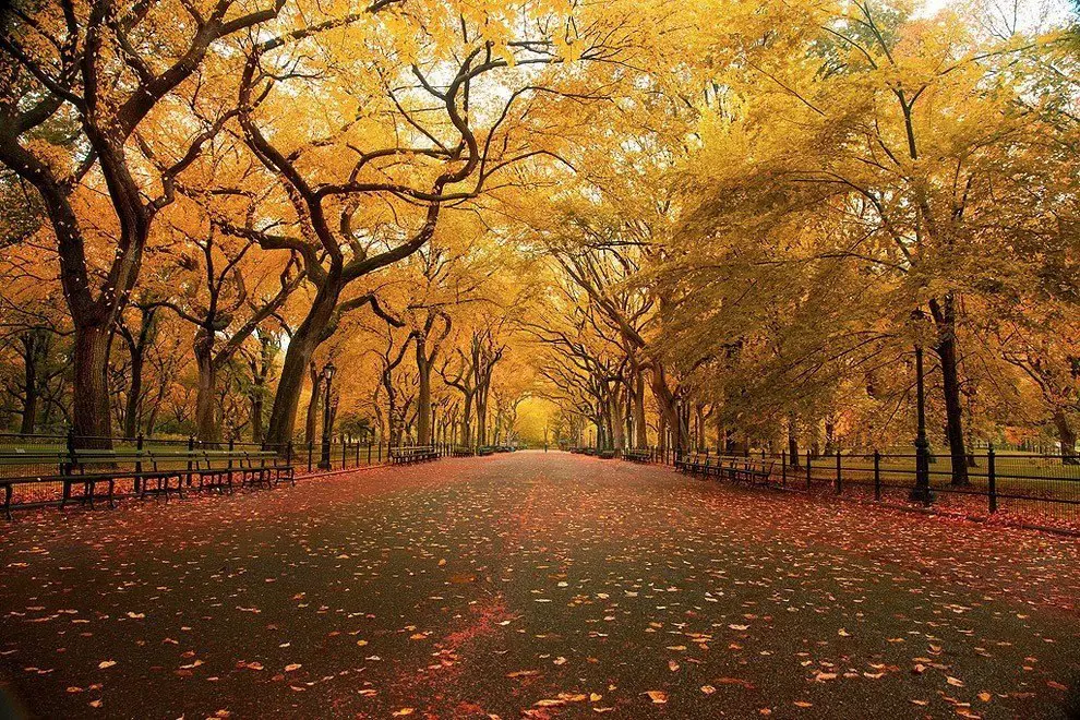 Central Park, New York, USA