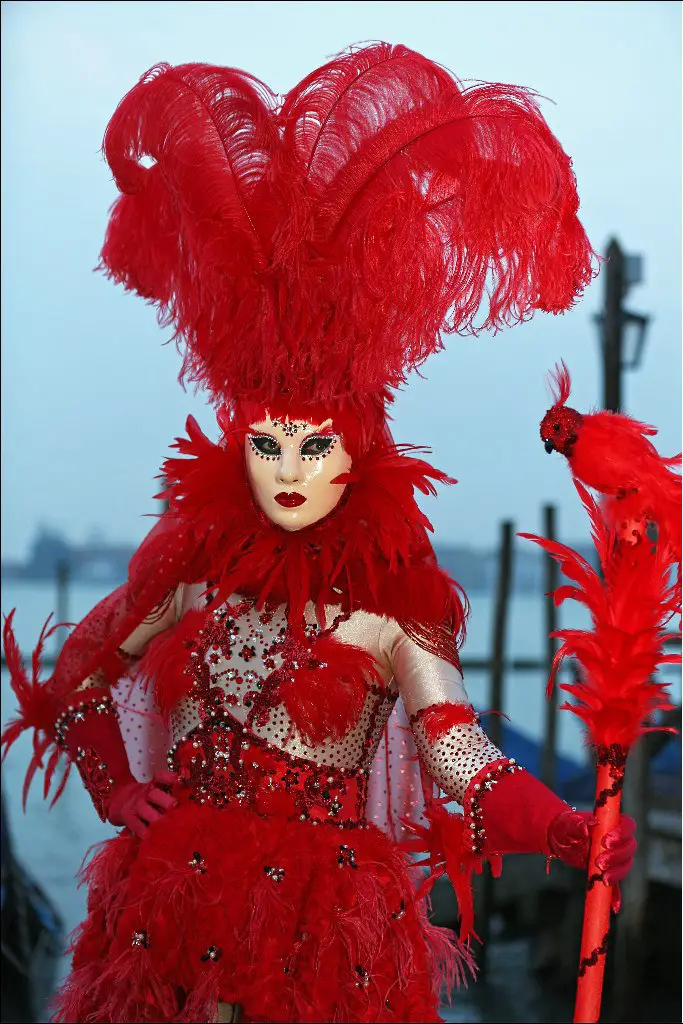 Venetian Carnival 2014