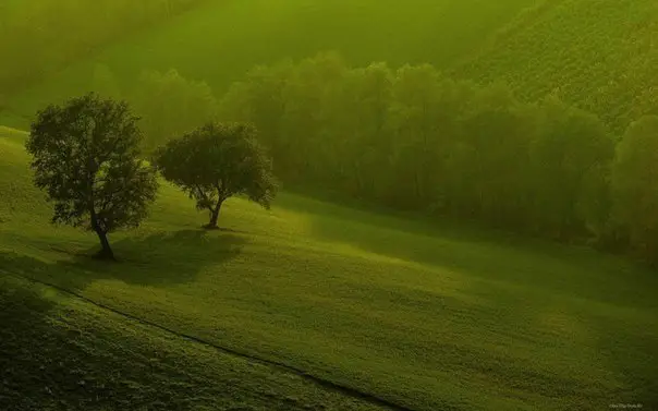 Emerald fields of Moravia, Czech Republic