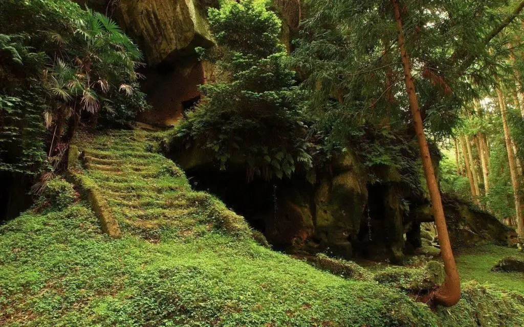 Lost temple in the forest, Japan