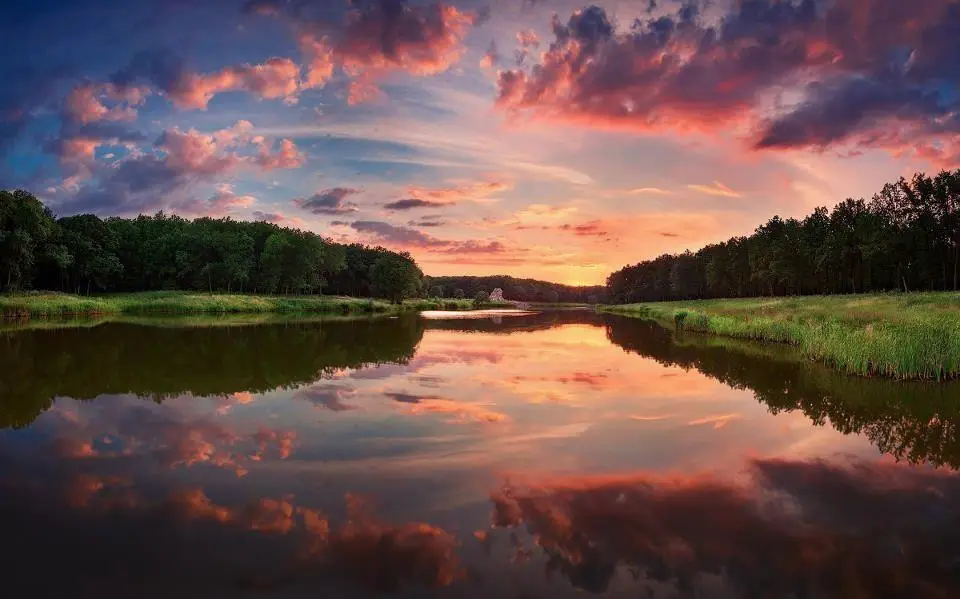 Lake in Velikoanadolsky forest, Ukraine