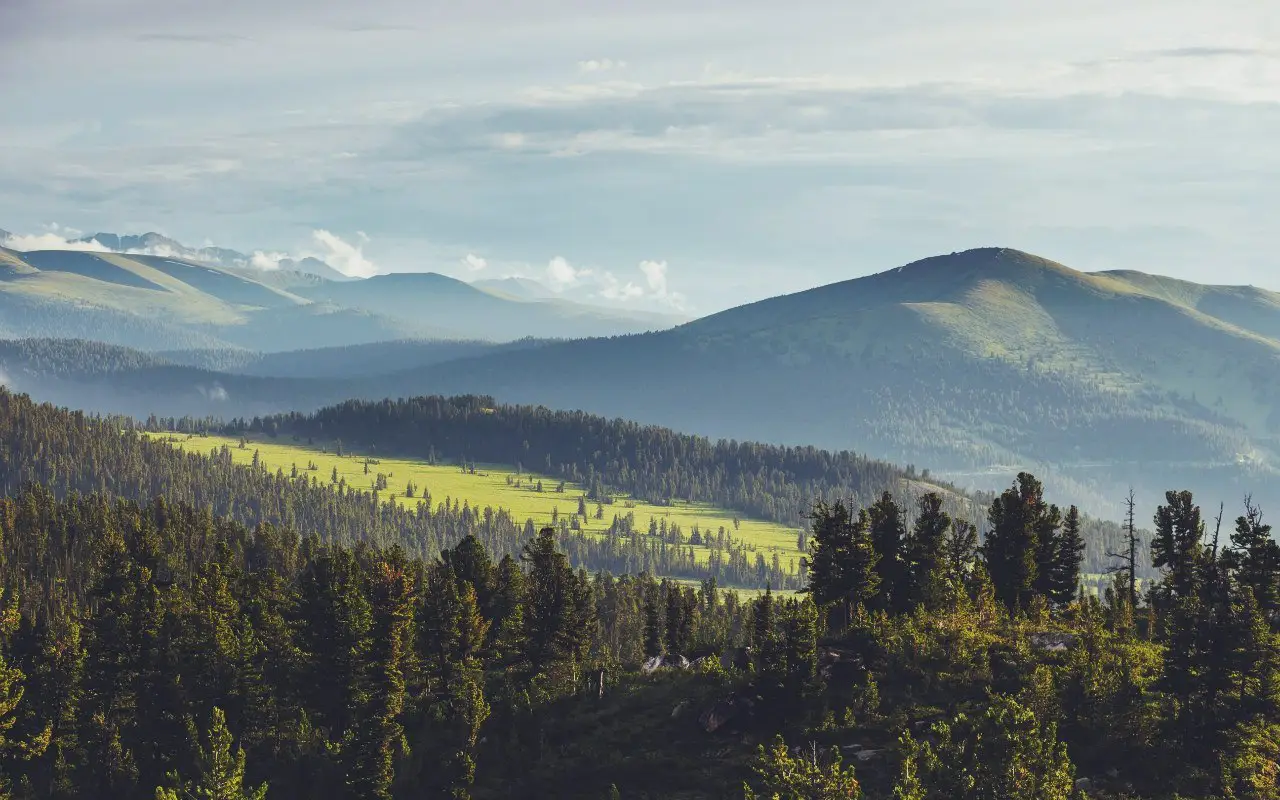 Yergaki National Park in summer. Krasnoyarsk region