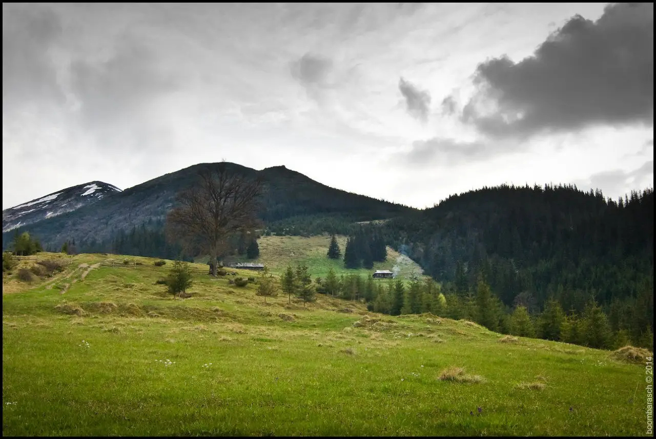 Карпаты, Черногорский хребет