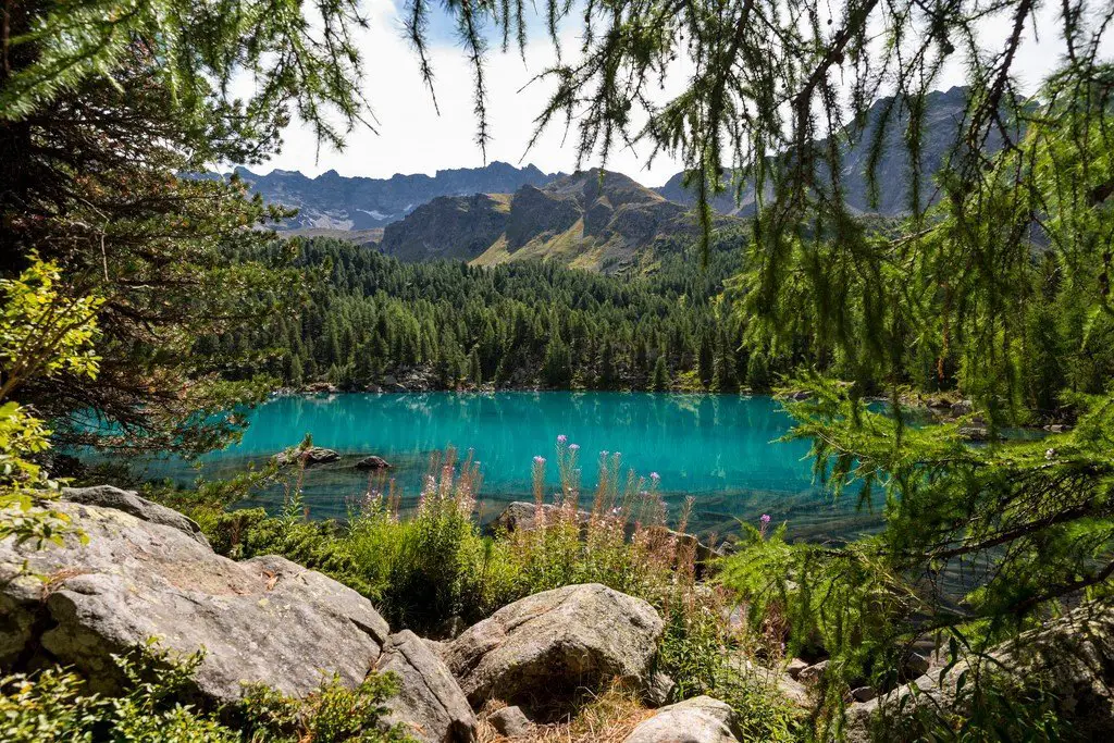 Lake in the forest, Switzerland