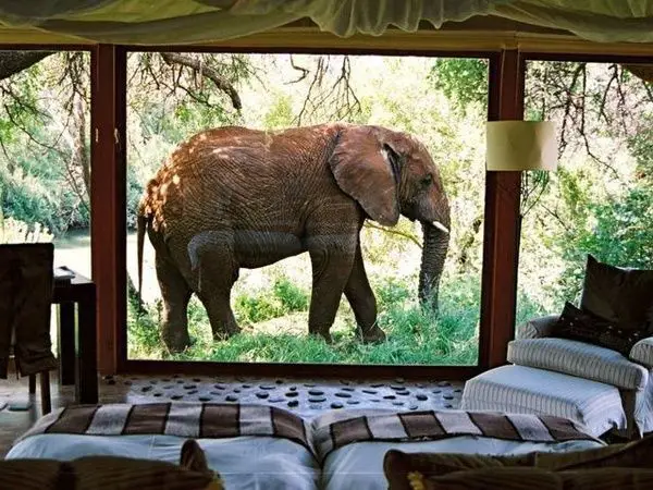 The most incredible awakening. South Africa