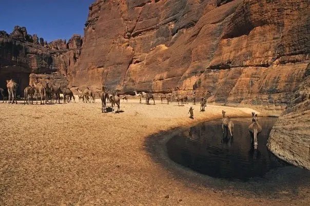 Oasis Geltta