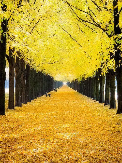Парк Georgengarten, Ганновер, Германия