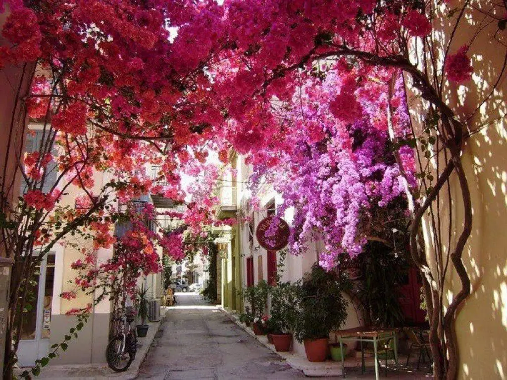One of the most picturesque cities in Greece is Nafplion