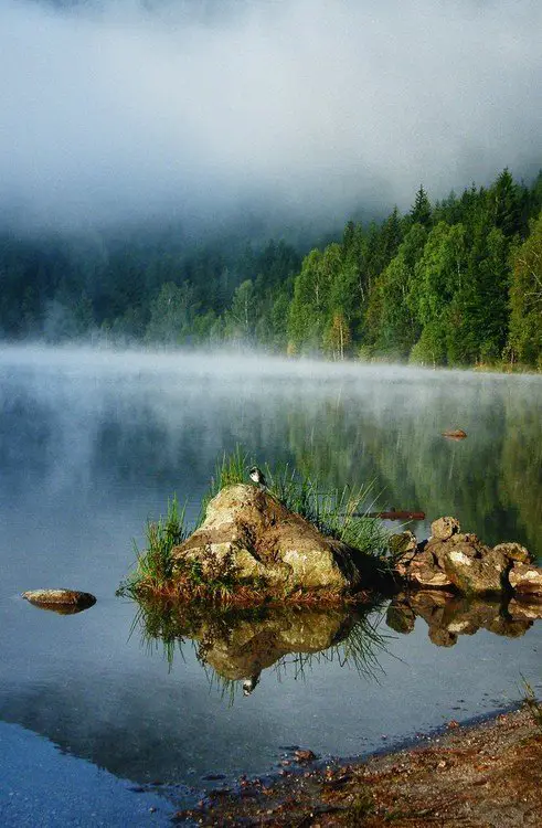 Morning mist over the lake in Romania