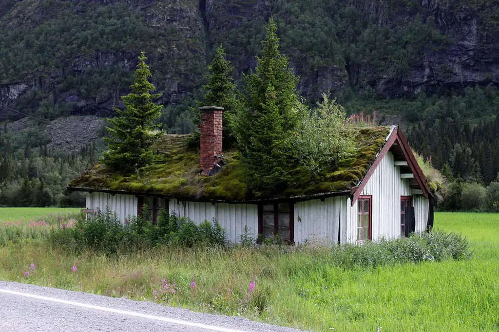 Nature swallowed up the house in Norway