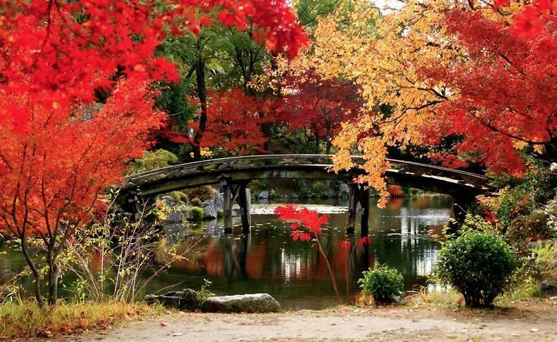 In Kyoto Park, Japan