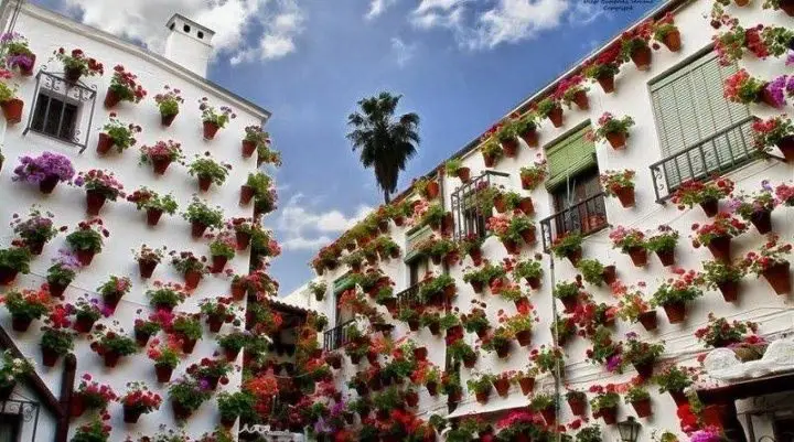 Houses on Córdoba Street, Spain