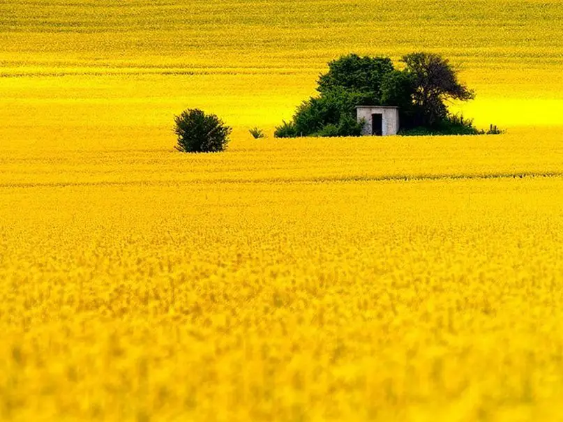 Болгария