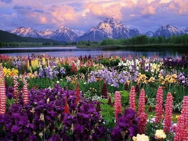 Beautiful scenery in Grand Teton, Wyoming.