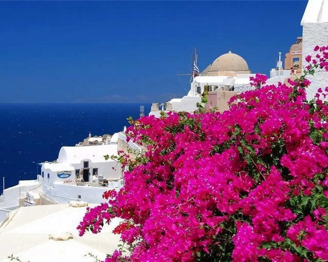 Bougainvillea is a living decoration of the Mediterranean lanes