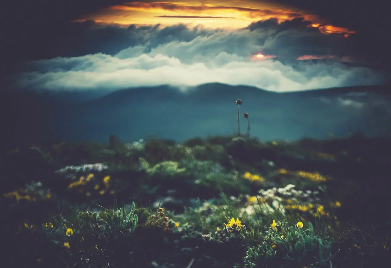 Demerdzhi. Crimea