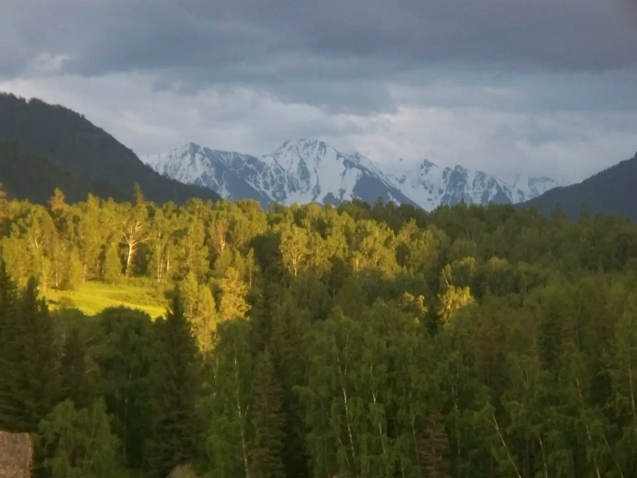 Mountain Altai