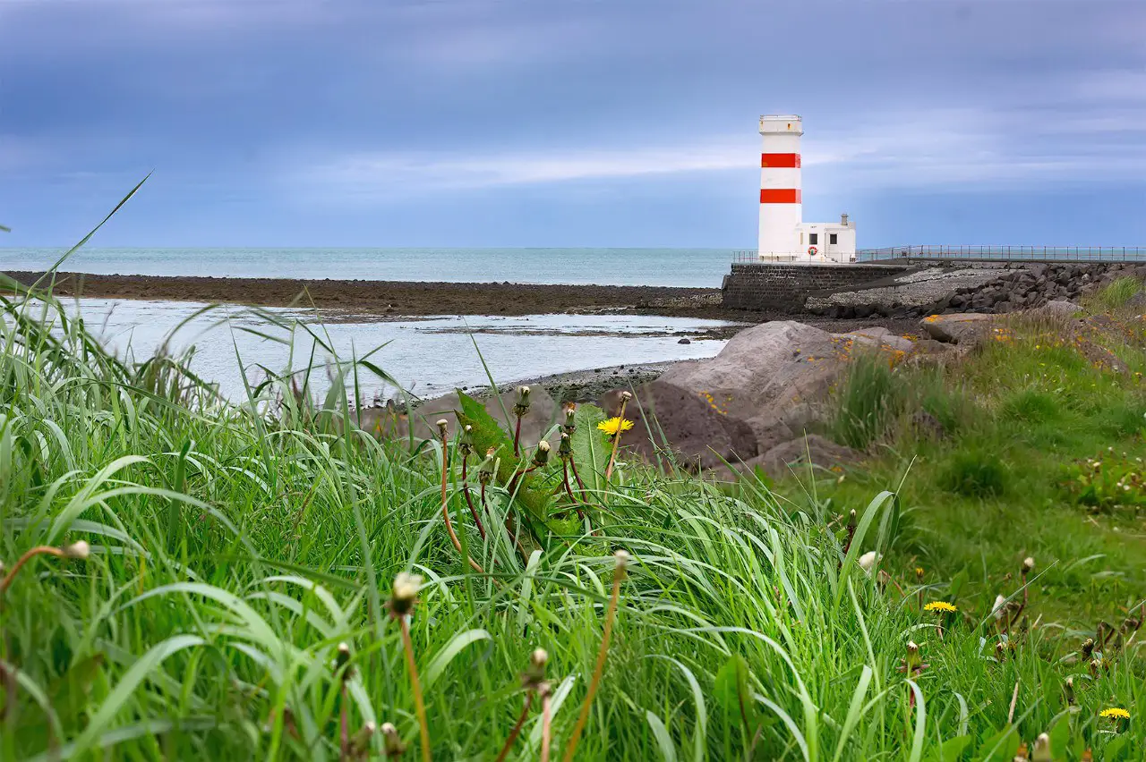 The coast of Iceland