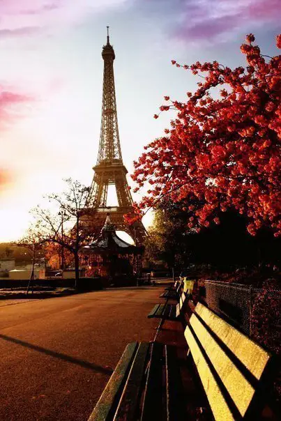 Charm of France