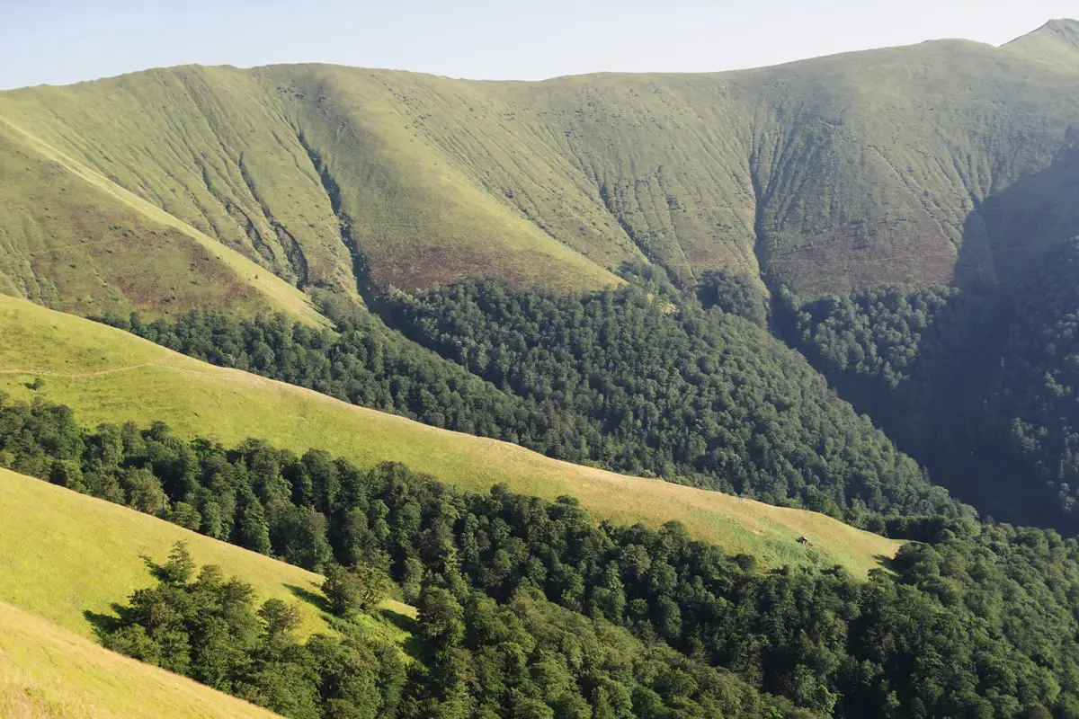 Карпаты