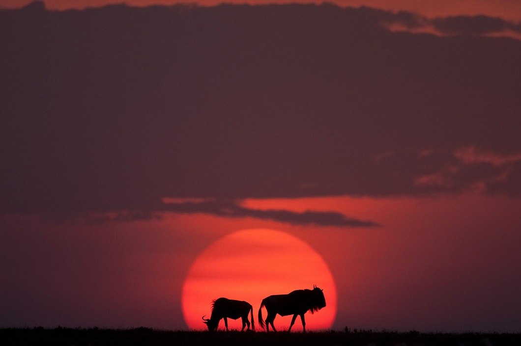 African sunsets