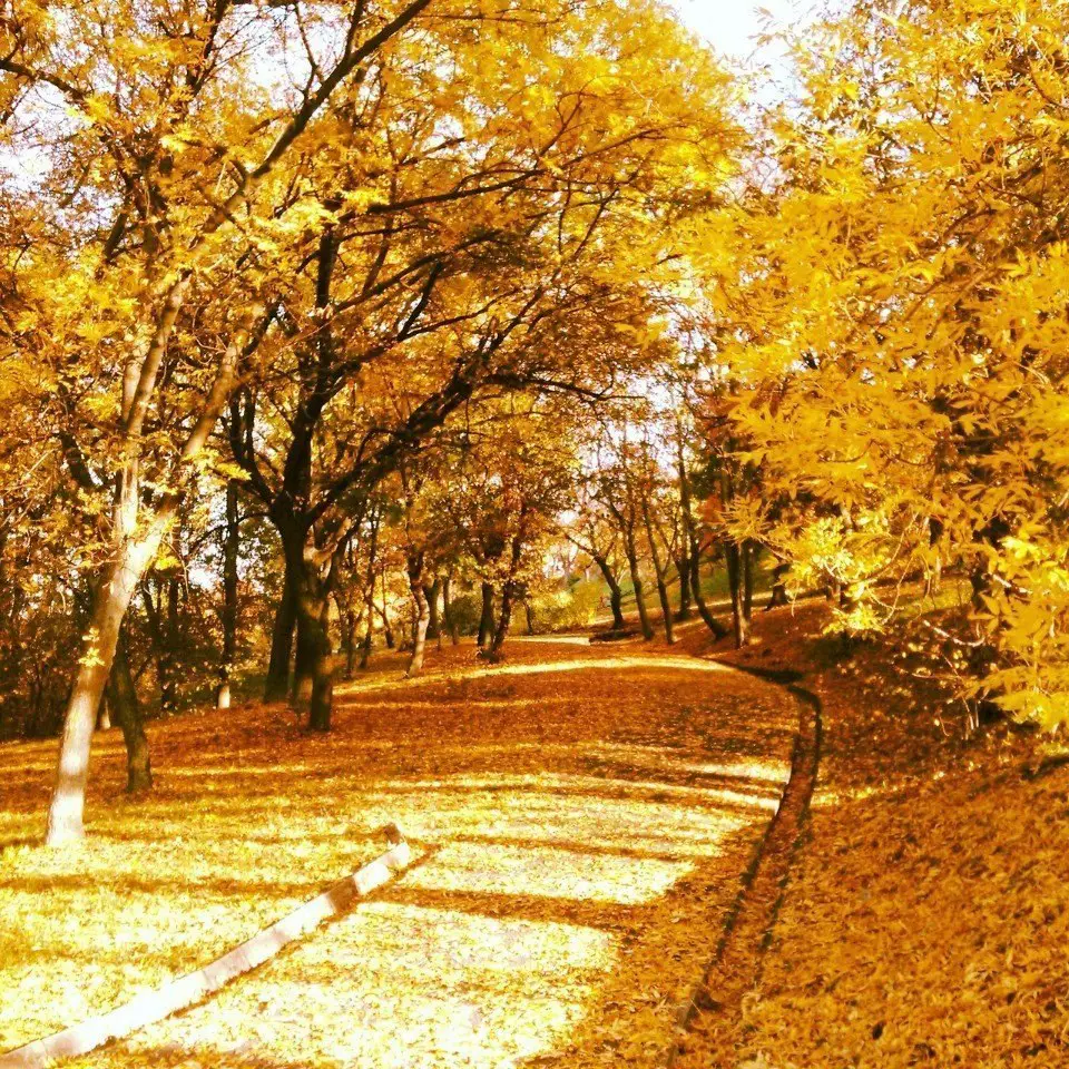 Осенний Будапешт, Венгрия