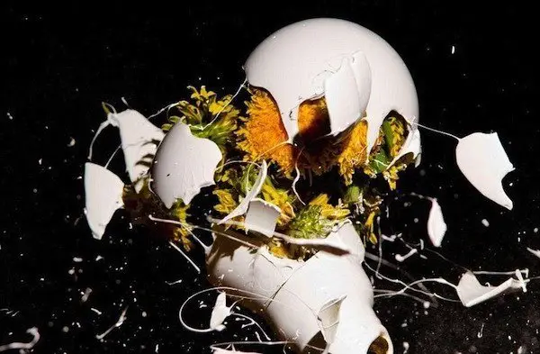 Exploding bulbs