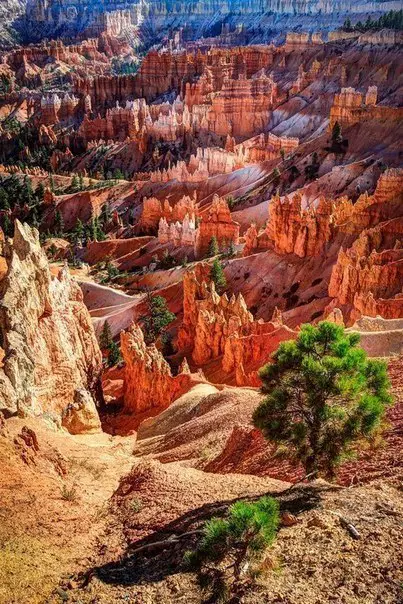 Гранд Каньйон, Арізона, США