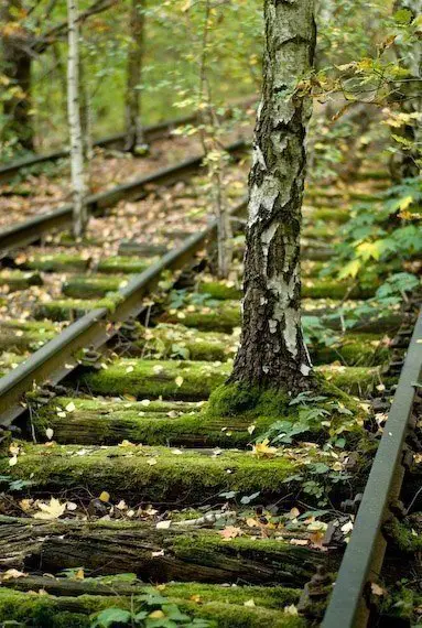 For a long time here did not go trains