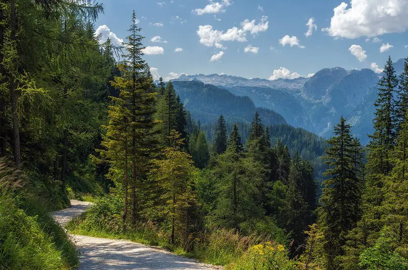 Альпы, Германия