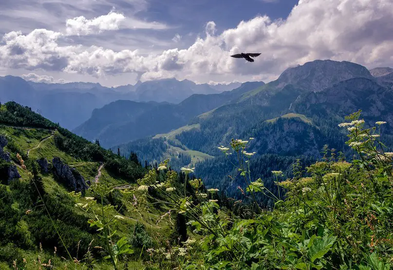 Альпы, Германия