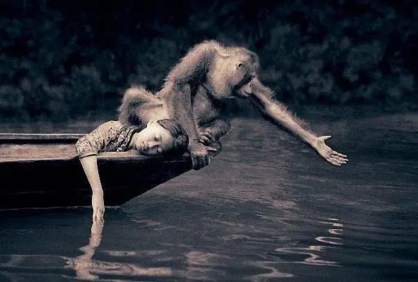 Гениальные работы от Gregory Colbert