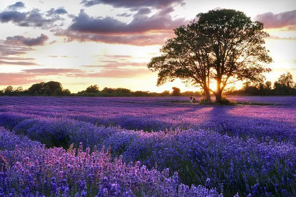 Provence, France