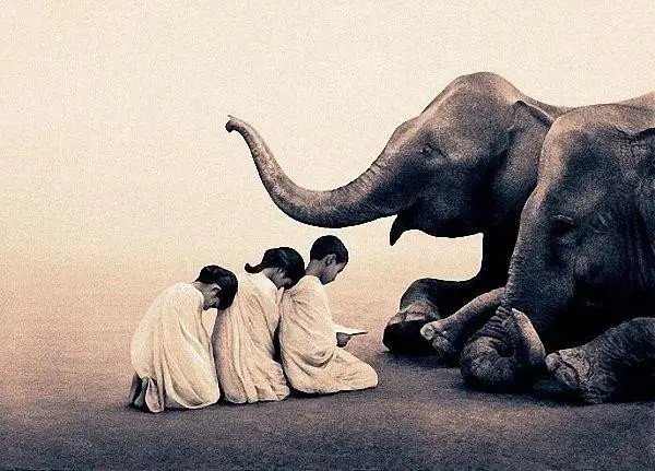Гениальные работы от Gregory Colbert
