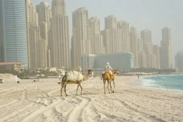Jumeirah, Dubai, OA