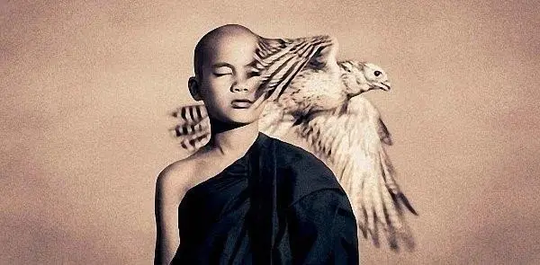 Гениальные работы от Gregory Colbert
