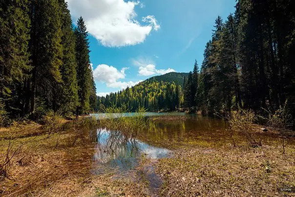 Восхитительные Карпаты,<br>Украина