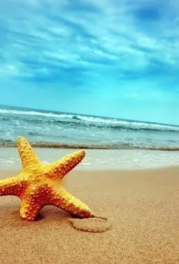 Кусочек моря.