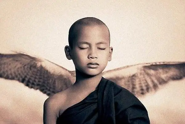 Гениальные работы от Gregory Colbert