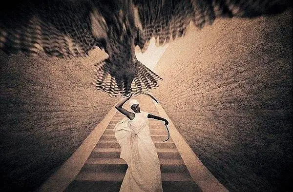 Гениальные работы от Gregory Colbert