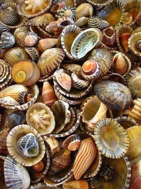 Кусочек моря.