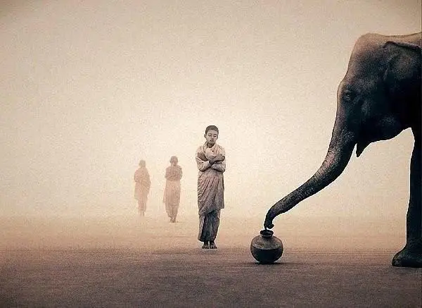 Гениальные работы от Gregory Colbert