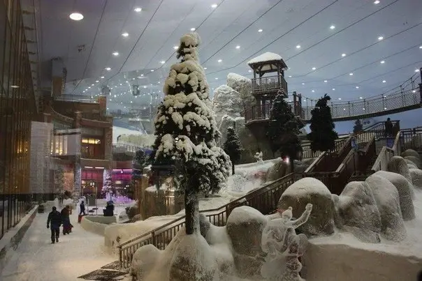 In Dubai is the first in Asia indoor ski resort Ski Dubai